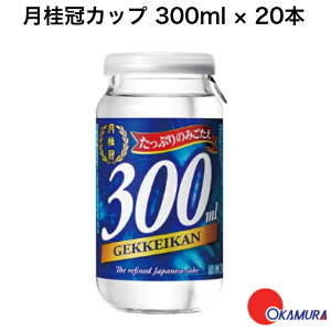 yGg[P10{zyVX[p[SALEIyh/݂zjJbv [ { s{ 300ml×20{ ]