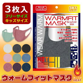 【3点以上で送料無料】 ウォームフィットマスク マスク 秋冬 冬用 温感 保温 あったか 暖かい ホット ウォーム 洗える 繰り返し 立体構造 小さめ フェイスマスク 3枚入り フリーサイズ 大人 子供 男性 女性 男の子 女の子 男女兼用