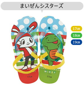 yyVX[p[SALE zȉ 70%OFF zskater r[`T_ T_ St ƃS t  LbY qǂ j̎q T_ ̎q T_ C v[ Lv  ċx L