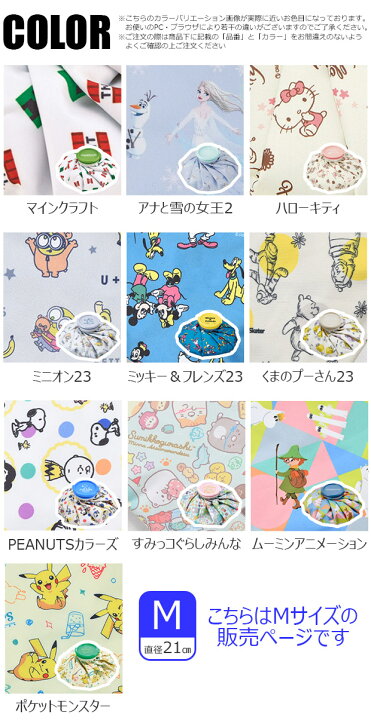楽天市場】【 5％OFF☆ 】【送料無料】スケーター skater アイスバッグ 