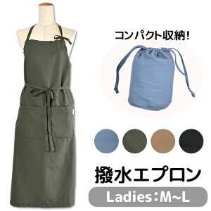 y 20%OFF݌Ɍ zyz RpNg Gv [ fB[X M L  ۈm s[X i` k JtF Vv Xg |Pbg O Gv 
