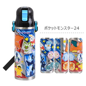 2025NŐVy 20OFF zpbL܂IyzSKATER XP[^[  LbY  _CNg{g 580ml SDC6  q y eʃ^Cv bNt vbV XeX 