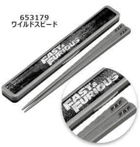 y 13%OFF zXP[^[ SKATER  P[Xt R h fB[X Y ̎q j̎q  j H@Ή H  l ٓObY Jg[ ٓ ` `ObY 