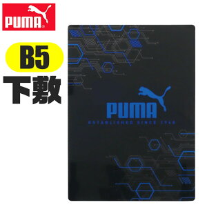 PUMA v[} Nc ~ b5  TCY   ~ B5 Vw fXNpbh Vw Vw  킢  w w Z Y l [ v