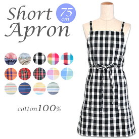 【 5%OFF★ 】【送料無料】エプロン おしゃれ エプロン かわいい エプロン 保育士 レディース 75cm丈 エプロン 胸当て バッククロス型 クロス型 X型 エプロン エプロン チェック ユニフォーム フレンズヒル ワンピース カフェ リネン 綿100% 女性用