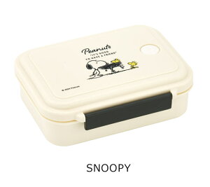 2025NŐVy 10OFF zyzSKATER XP[^[ X`[ `{bNX LN^[ R ٓ `{bNX 500ml e ٓ WΉ 傫 fB[X LbY q