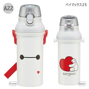 2025年最新柄【送料無料】SKATER スケーター 水筒 直飲み プラワンタッチボトル 抗菌 ワンタッチ 水筒 プラスチック 480ml 超軽量 ワンプッシュ ダイレクト 幼稚園 小学生 女の子 男の子 キャラ