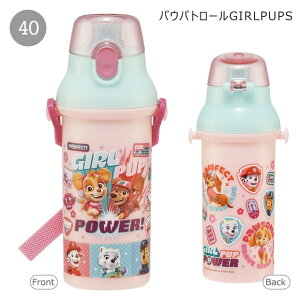 2025NŐVyzSKATER XP[^[   v^b`{g R ^b`  vX`bN vXeBbN v{g 480ml y j̎q ̎q ct ۈ牀 w 