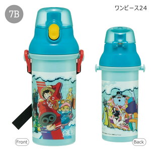 2025NŐVyzSKATER XP[^[   v^b`{g R ^b`  vX`bN vXeBbN v{g 480ml y j̎q ̎q ct ۈ牀 w 