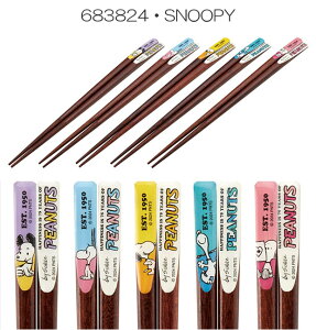 2025NŐVy 10%OFF zyzSKATER XP[^[ V킰10{Zbg  fB[X Y  ͂ 5VZbg LN^[ fBYj[ TI ̎q j̎q 킢  