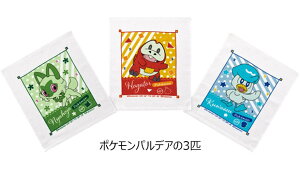 y 10%OFF zy2_ȏőzSKATER XP[^[ ڂ ڂ^I 3Zbg ۈ牀 q LN^[ @^I 100% ^I qp j̎q ̎q Zbg @^I 