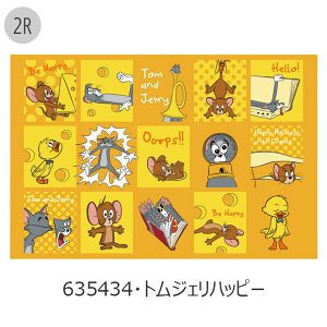 yyVX[p[SALE 20%OFF 2_ȏőzSKATER XP[^[ W[V[g lp RpNgW[V[g 񂻂 Ro oR sNjbN h  AEghA ܂肽 T