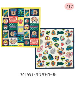 yyVX[p[SALE 15%OFF zSKATER XP[^[ `NX 2 Zbg itL j̎q ̎q H itL { 100% ٓ 43×43cm ` `}bg  `