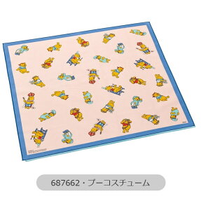 2025NŐVyzSKATER XP[^[ `NX唻 `NX `}bg `}bg itL 2024N V H 1 { 100% ٓ ٓ 52×52cm j̎q 