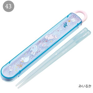 2025NŐVy 10%OFF zy3_ȏőzSKATER XP[^[  P[Xt  q LbY j̎q ̎q HΉ   XChP[X XCh { H  ct