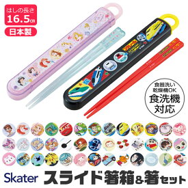 2026年最新柄【 10%OFF★ 】【3点以上で送料無料】SKATER スケーター 子供用 お 箸 セット 子供 ケース付き 日本製 箸箱 キッズ 食洗器対応 お箸 おしゃれ 男の子 女の子 スライドケース スライド式 キャラクター カラトリー BPAフリー BPA-Free