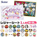 2026年最新柄【2点以上で送料無料】SKATER スケーター レジャーシート 一人用 コンパクト えんそく 山登り 登山 ピクニック 防水 おすすめ アウトドア 折りたたみ サイズ キャンプ コンパクト 子供用 男の子 女の子 キャラクター 幼稚園 小学生 遠足 かわいい