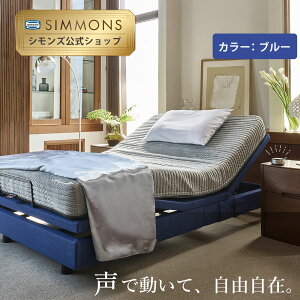 ダブル ベッド ポケットコイル マットレス付きの人気商品・通販・価格 