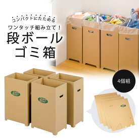 ダンボール ダストボックス 4個組日本製 ワンタッチ ゴミ箱 簡易 アウトドアリサイクル 分別 かんたん組立 使い捨て ペットボトル 缶 エコ