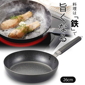 t@Co[CHS tCp 26cm ؕ{ łɂ IHΉS v  Xe[L S Ɩp v  JAPAN