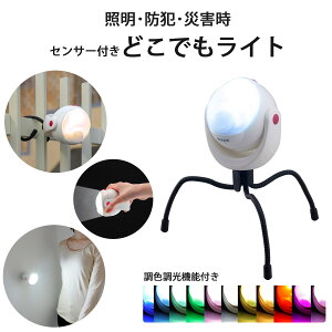F LED ǂł ZT[Cg_ lZT[ hJ OhƑ΍ Ԍ u  CgGR }Olbg