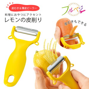 txW   s[[{ XeXn   ނIW T_ Z HƃhN  AW َq 