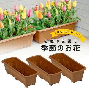 球根 プランター 鉢の人気商品 通販 価格比較 価格 Com