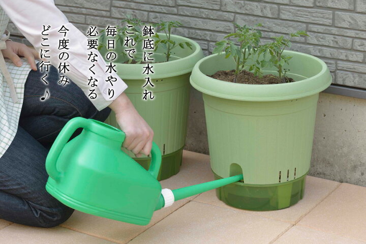 楽天市場 給水式菜園ポット 360型 3個組日本製 家庭菜園 プランター菜園野菜作り 自家栽培 ガーデニング花 庭 植木鉢 プランター ハーブガーデンポット ベランダ菜園 プチトマト エルルショップ