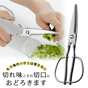 Lb` Xpb^[{ I[XeX Lb`͂ nT~   Jj ֗c[ 炦nT~XeX x \nT~  炦 ؂ꖡ s 쏊