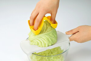 郉N ߂؃z_[{ K[h R ׂɂwK[h XCT[ ACfAH RpNg 卪 XCX