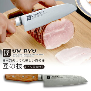  UN-RYU ~hO{  El iCt O XeX dxu u ؂ O JAPAN Y H Z   ō