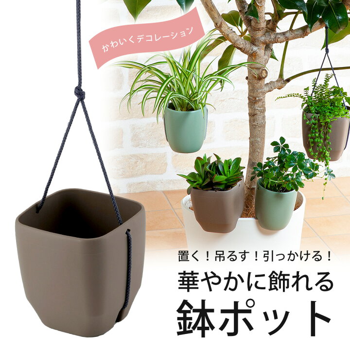 楽天市場 トッピングpot モカブラウン 3寸用日本製 ポット 鉢 植物ポット 花壇 庭鉢カバー ガーデニング 花 吊り下げ通気性 水はけ 観葉植物 インテリア 草花 根腐れ エルルショップ