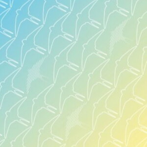 y  ~߃NX z300 Ԃg Kl ܂~ NX @ ȒP NX^Cv TC pI Mtg v[g Kl@ [  }XN S[O T