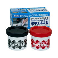 CEMEDINE セメダイン 水中エポキシ 1kgセット AP-001 | 接着剤 タイル 池 接着補修 便利 水中 高粘度エポ…