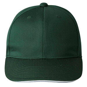 DESCENTE fTg AJLbv O[ S DB5SCP01M GR00 | X|[c X|[cEFA 싅 \tg{[ Lbv AJLbv x[X{[Lbv CAP Xq 싅ObY 싅p 