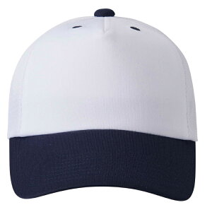 DESCENTE fTg tgplLbv zCgxlCr[ L DB5SCP02M WHNV | X|[c X|[cEFA 싅 \tg{[ Lbv AJLbv x[X{[Lbv CAP Xq 싅O