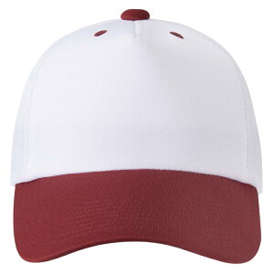 DESCENTE fTg tgplLbv zCgxCbh L DB5SCP02M WHWR | X|[c X|[cEFA 싅 \tg{[ Lbv AJLbv x[X{[Lbv CAP Xq 