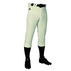DESCENTE fTg M[pc AC{[ O-8 DB5SHP10M IV00 | X|[c X|[cEFA 싅 \tg{[ WjAM[pc pc 싅EFA 싅ObY 싅p 싅 d