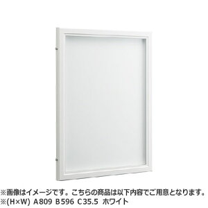 NASTA iX^ f }Olbg{[h A~jE OEp^Cv Jo[t KS-EXA11A V[Y H×W A 809 B 596 C 35.5 C-W zCg f\ őp@iH×Wj B2i 728×515j KS-EXA11A-8059C-W 