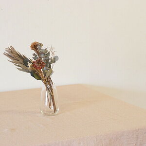 |bVrO }`Jo[ }bV[ 50547 | ` k \t@[  uPbgz n xbhJo[ O JE` e[uNX J[ybg 킢 }`NX 