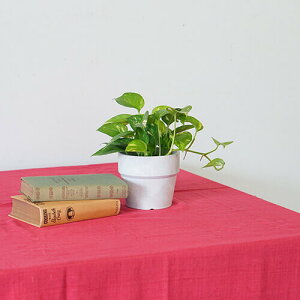 |bVrO }`Jo[  51078 | ` k \t@[  uPbgz n xbhJo[ O JE` e[uNX J[ybg 킢 }`NX \t@J