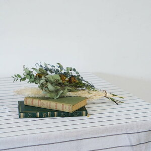 |bVrO XgCv}`Jo[ mg[ 52952 | }`Jo[ ` k \t@[  uPbgz XgCv xbhJo[ O JE` e[uNX J[yb