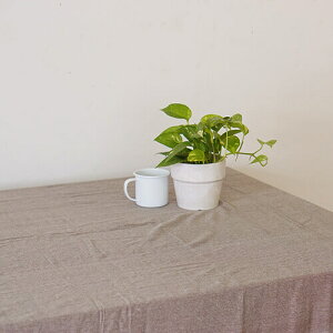 |bVrO }`Jo[ RRA 53036 | ` k \t@[  uPbgz n xbhJo[ O JE` e[uNX J[ybg 킢 }`NX \t@J