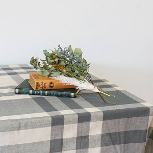 |bVrO `FbN}`Jo[ O[ 53219 | }`Jo[ ` k \t@[  uPbgz `FbN xbhJo[ O JE` e[uNX J[ybg 