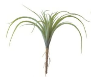 ytz GA[vc L PVC C[ L26cm |   t[AWg CeA CeAG G  A[gt[ ϗtA AW  K[f 