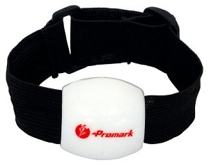 SAKURAI TNCf Vh[sb`O TPT0473 | X|[c ^ X|[cpi g[jO tBbglX GNTTCY 싅 x[X{[ 싅pi sb`OK sb`[ Vh[s