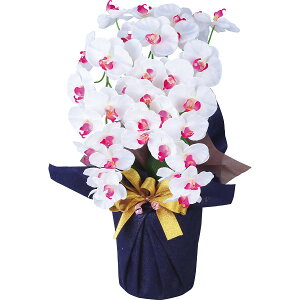 A[eBtBVt[  3{Ӓ zCgr[eB[ ncr-24019-3-wb | 25-0226-139 CeA G  u  zCg Ӓ tFCNt[  ؂₩ i 蕨 