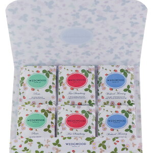 EFbWEbh Ch Xgx[ eB[obO WSN-10TB | 23-0382-020 Hi ݕ  lߍ킹 l Zbg g t[c t[o[  y ȒP }` \ ֗ i 蕨