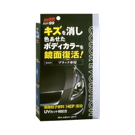 【条件付き送料無料】 ソフト99 SOFT99 99 カラーエボリューション ブラック車用 W-182 00503 | 車 ボディ カーワックス 補修 キズ消し キズ埋め 艶出し コーティング コーティング剤 洗車 洗車用品 車用品 おすすめ 小キズ 色あせ防止 色褪せ 鏡面 復活 微粒子 自動車