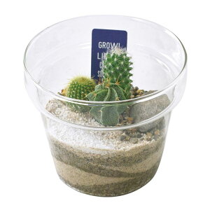 SPICE XpCX SPICE OF LIFE {KX v^[ T{e A LTCY 8S43 6 | K[f A T{e  KX Y 